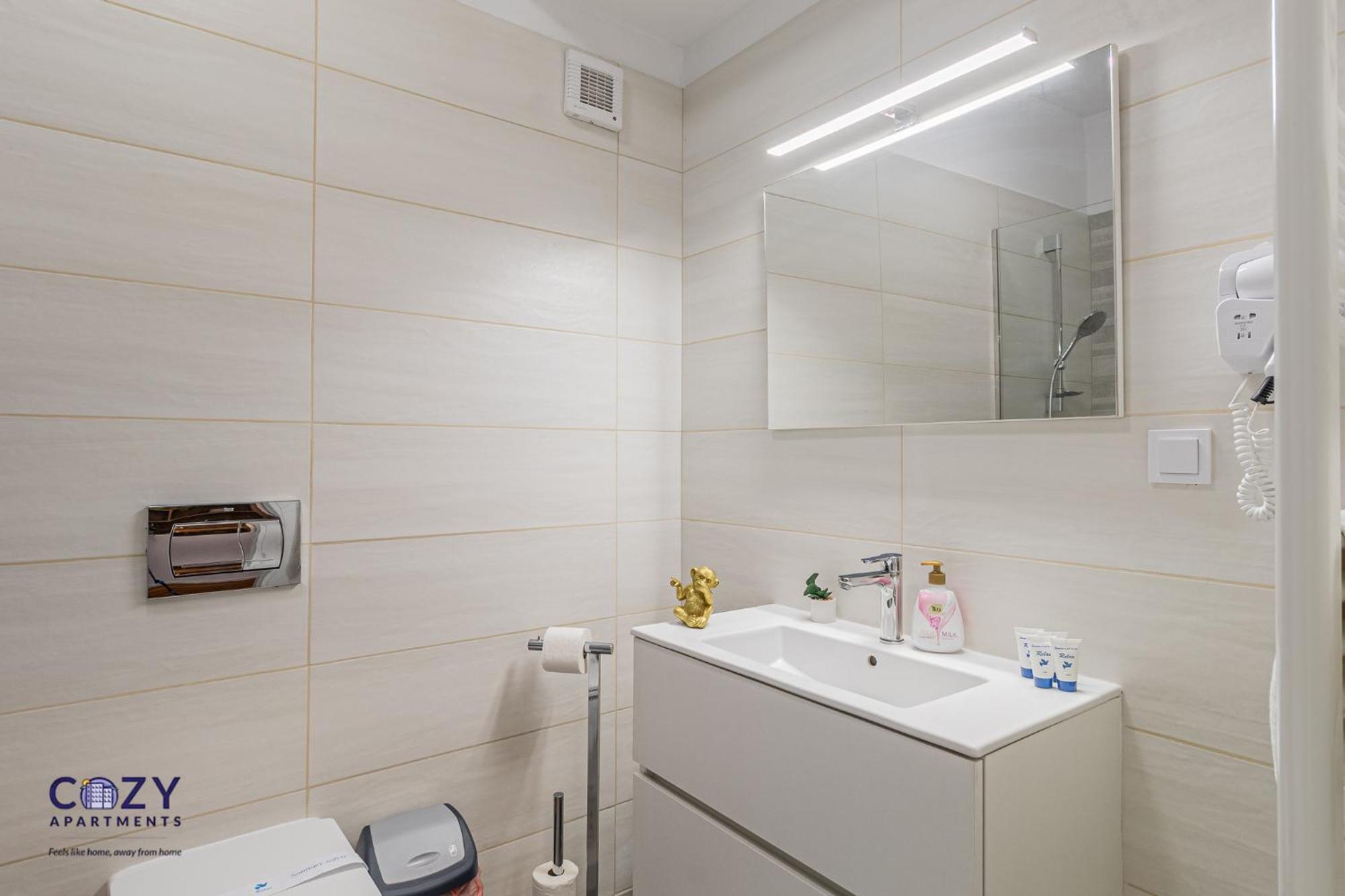 Cozy Collection Studios And Flats - Coresi Mall Μπρασόβ Εξωτερικό φωτογραφία