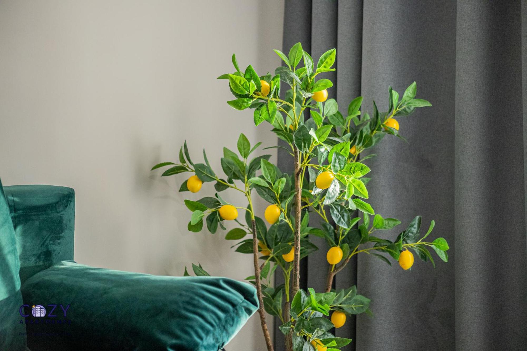 Cozy Collection Studios And Flats - Coresi Mall Μπρασόβ Εξωτερικό φωτογραφία